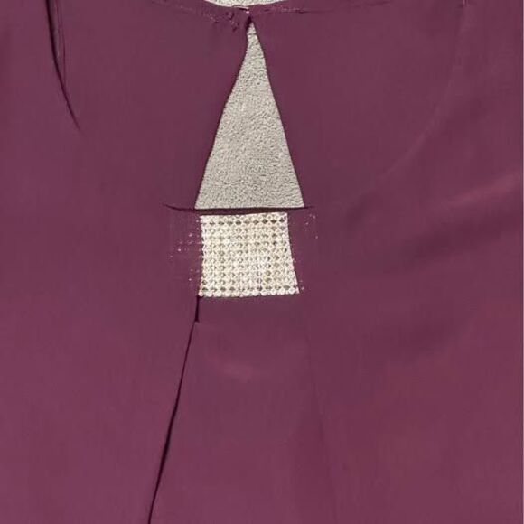 Plus Size Women’s Plum Purple W/ Rhinestone Detailed Dress - Picture 2 of 7